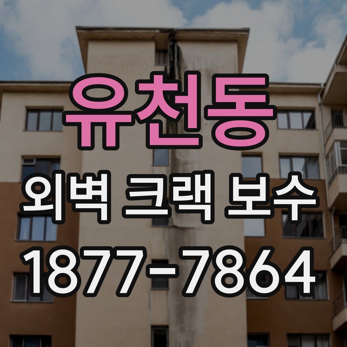 유천동 외벽 크랙 보수