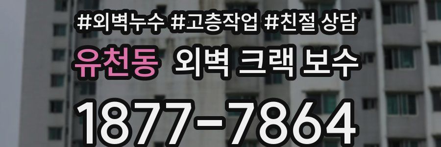 유천동 외벽 크랙 보수