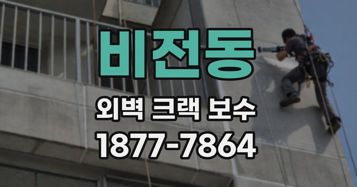 비전동 외벽 크랙 보수