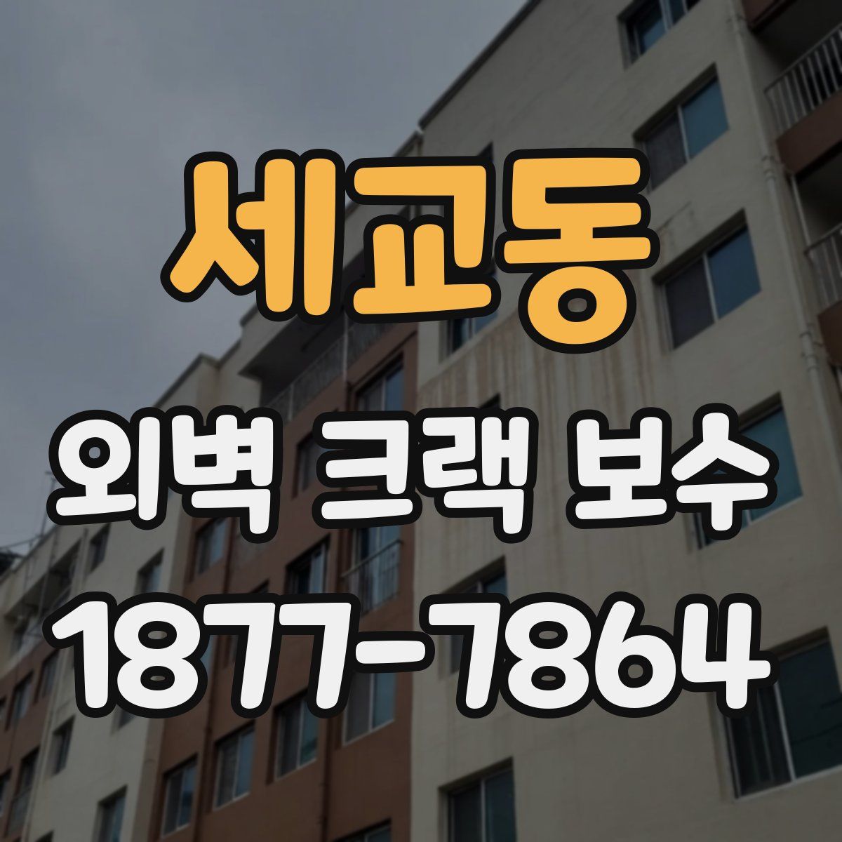 세교동 외벽 크랙 보수