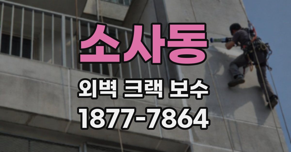 소사동 외벽 크랙 보수