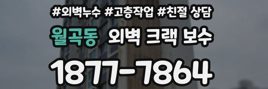 월곡동 외벽 크랙 보수