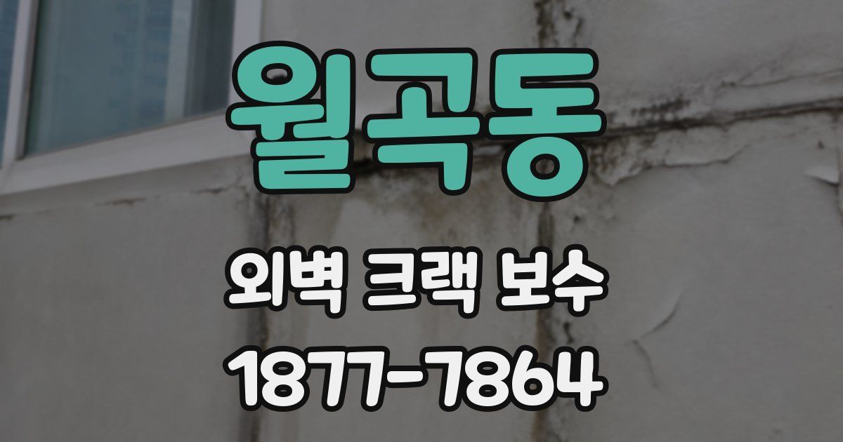 월곡동 외벽 크랙 보수
