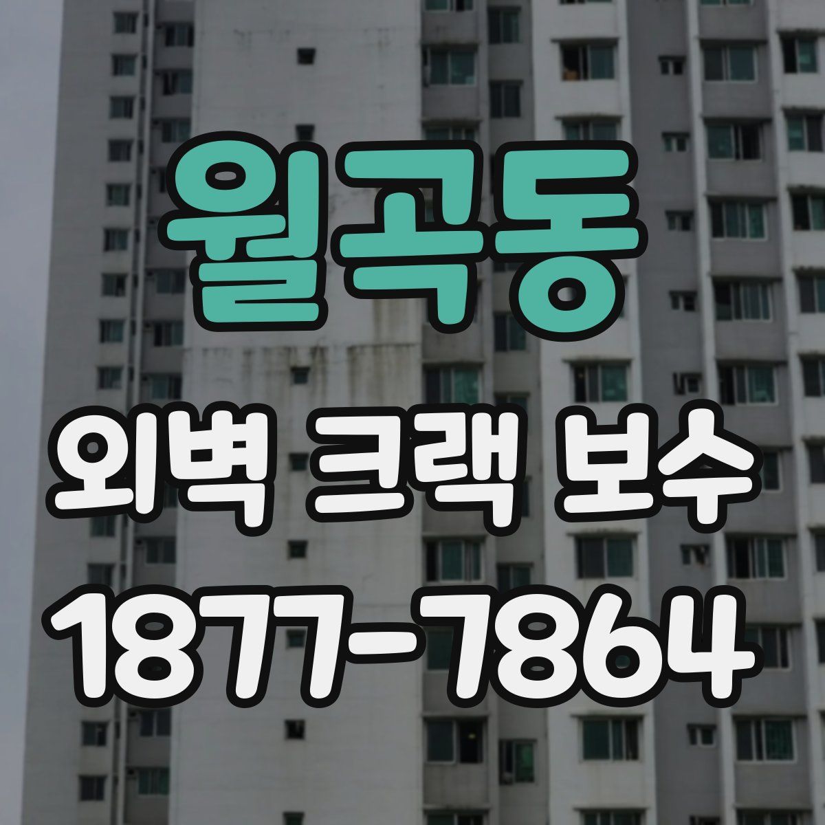 월곡동 외벽 크랙 보수