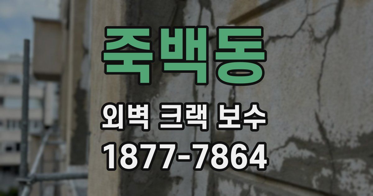 죽백동 외벽 크랙 보수