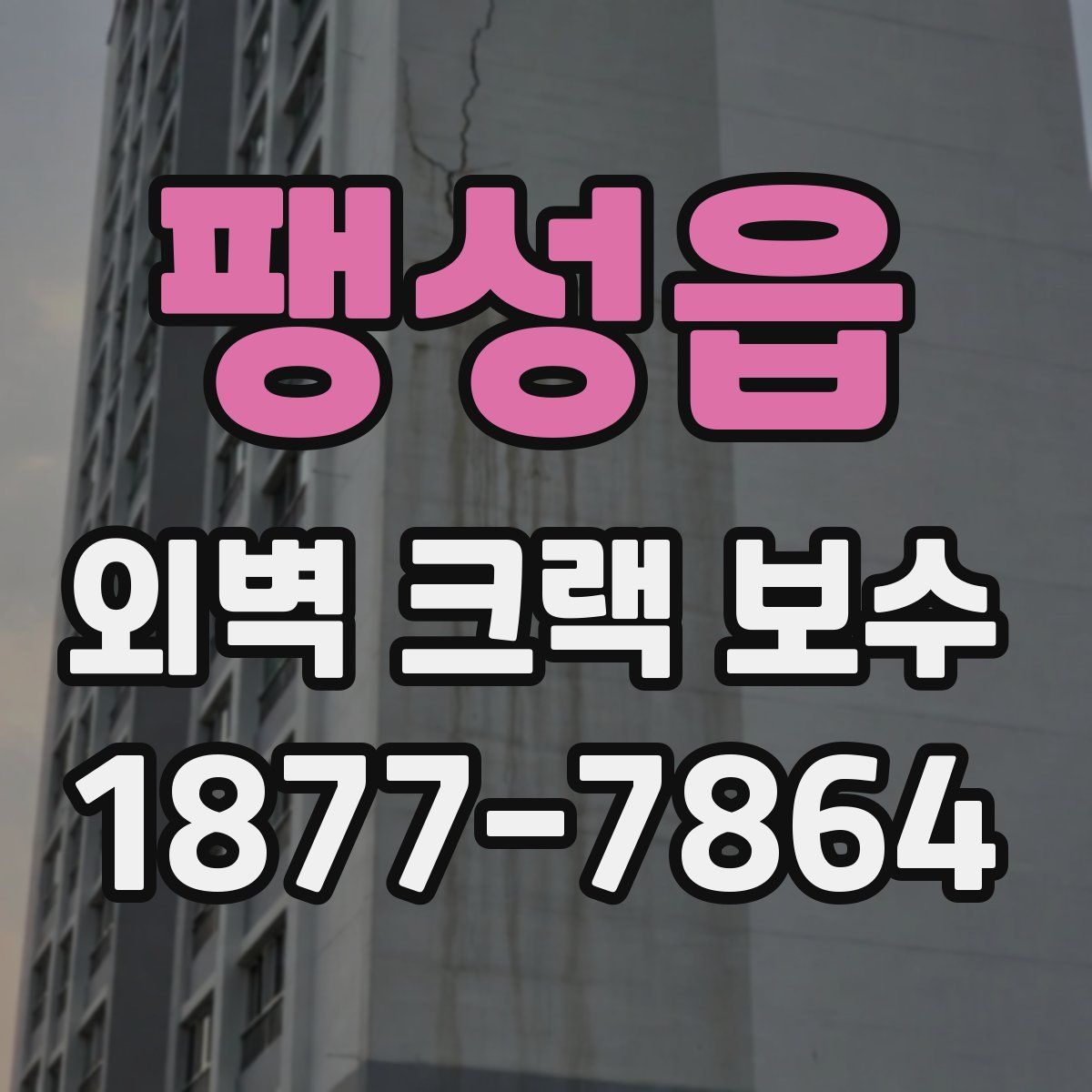 팽성읍 외벽 크랙 보수
