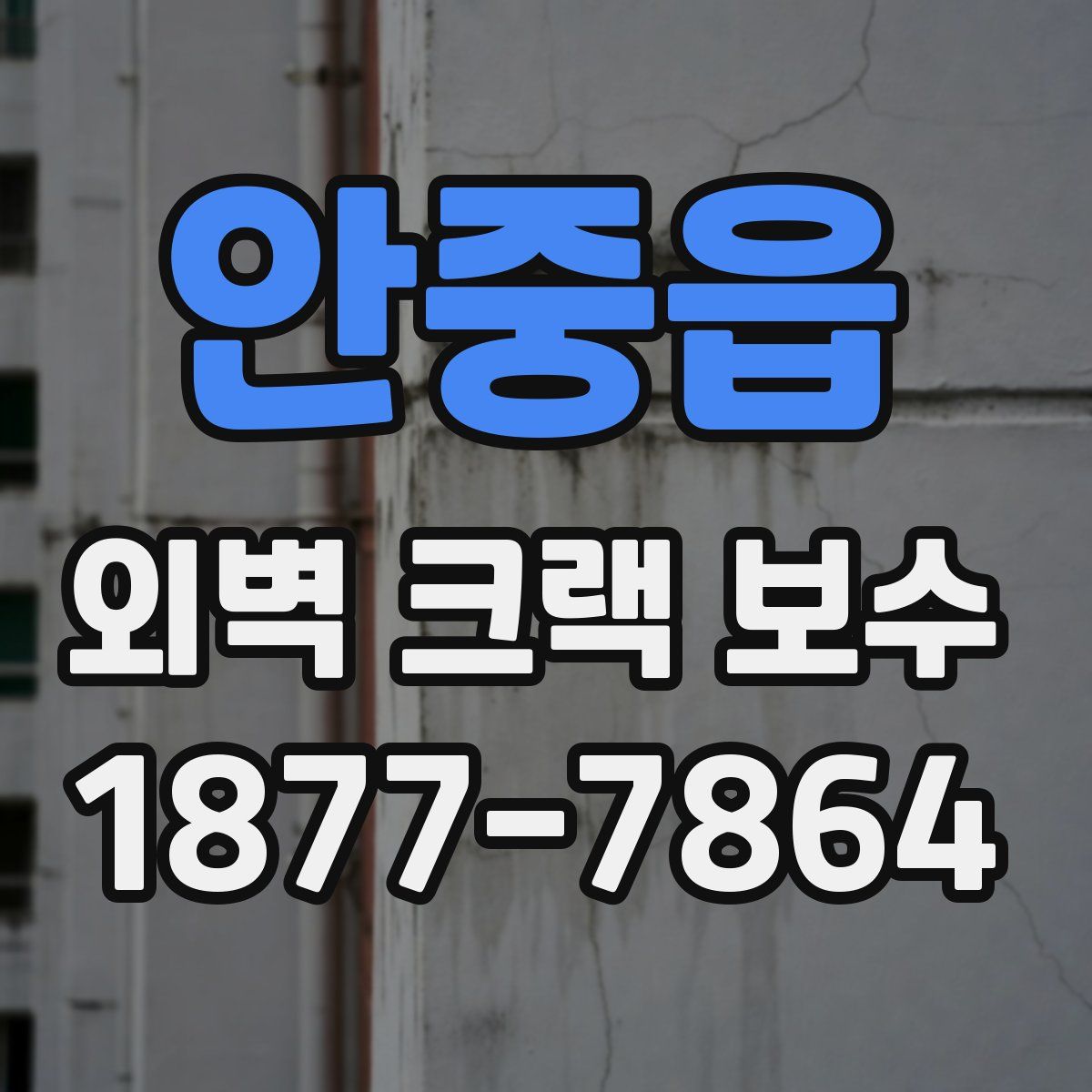 안중읍 외벽 크랙 보수