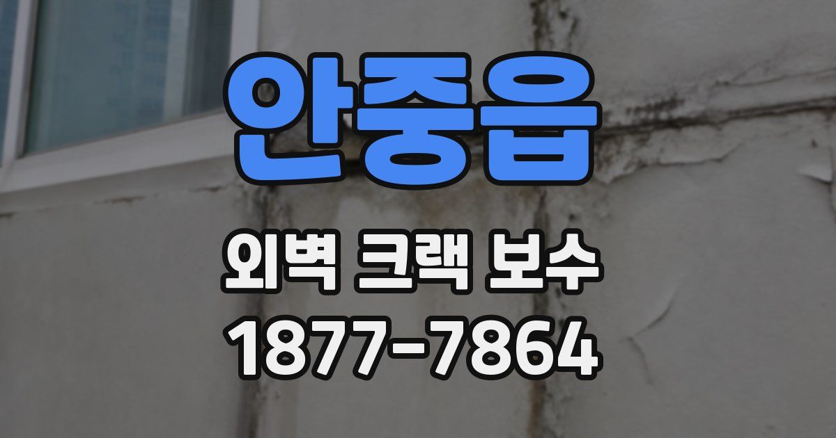 안중읍 외벽 크랙 보수