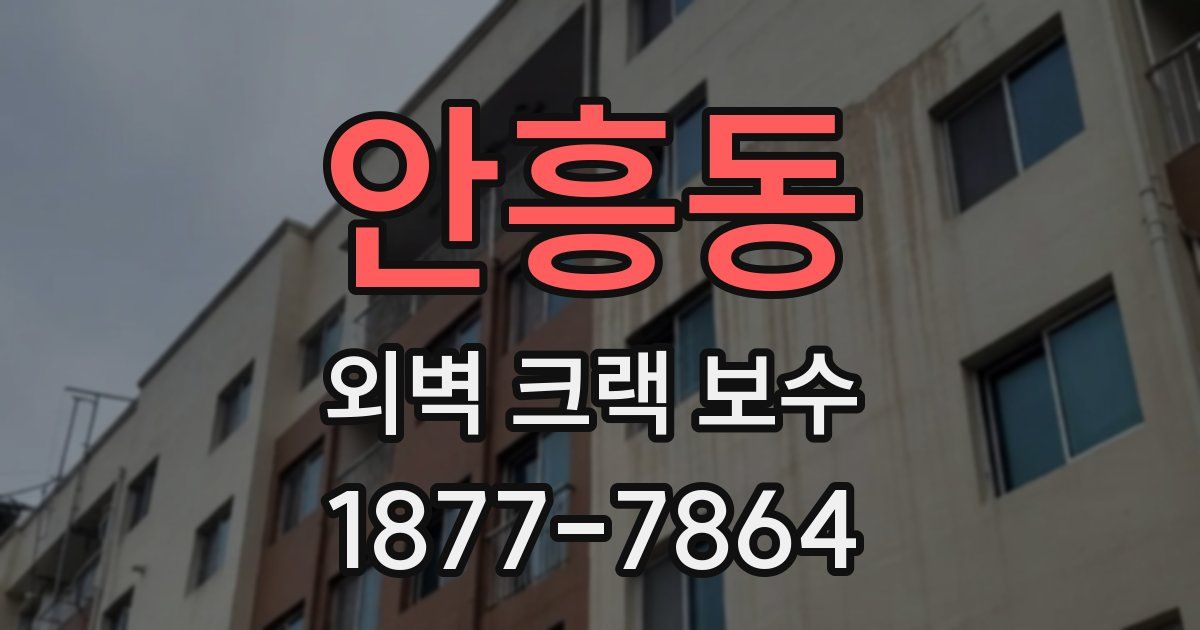 안흥동 외벽 크랙 보수