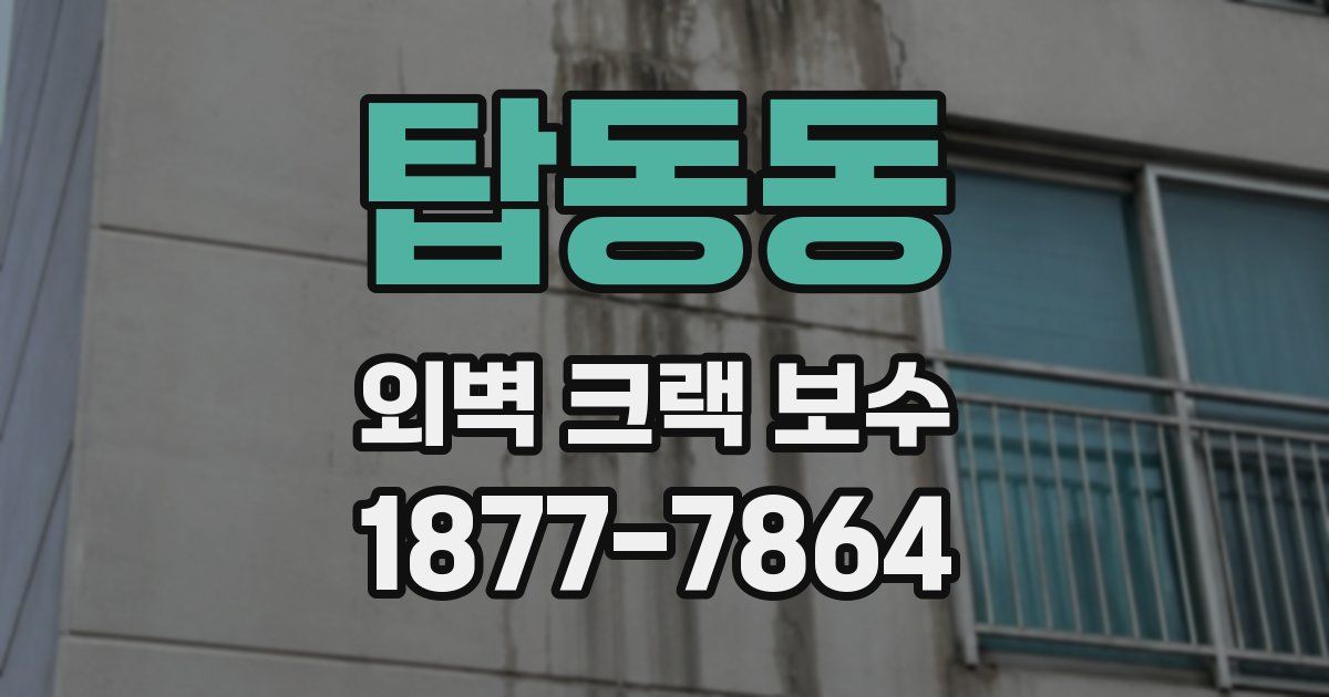 탑동동 외벽 크랙 보수