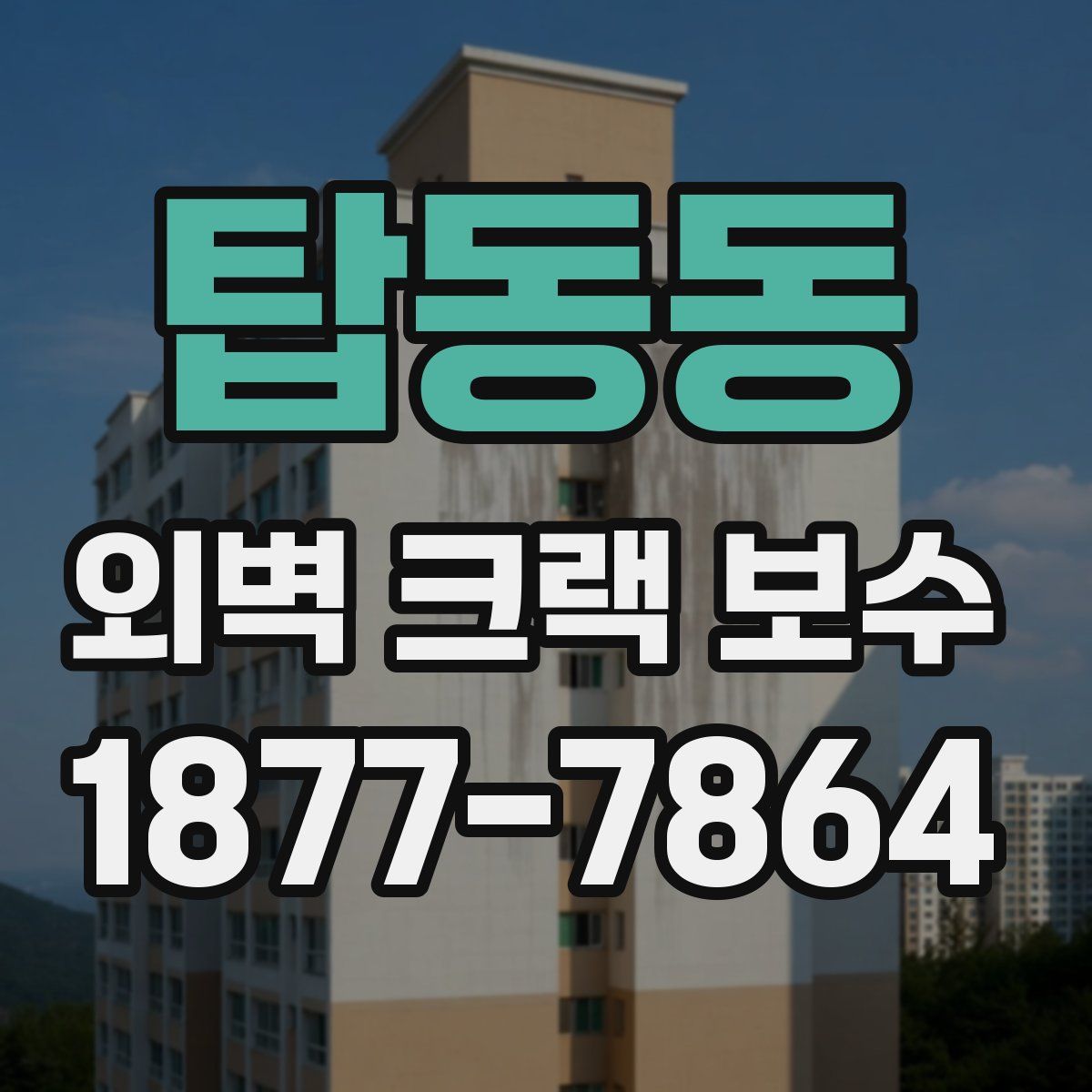 탑동동 외벽 크랙 보수