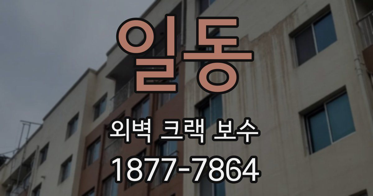 일동 외벽 크랙 보수