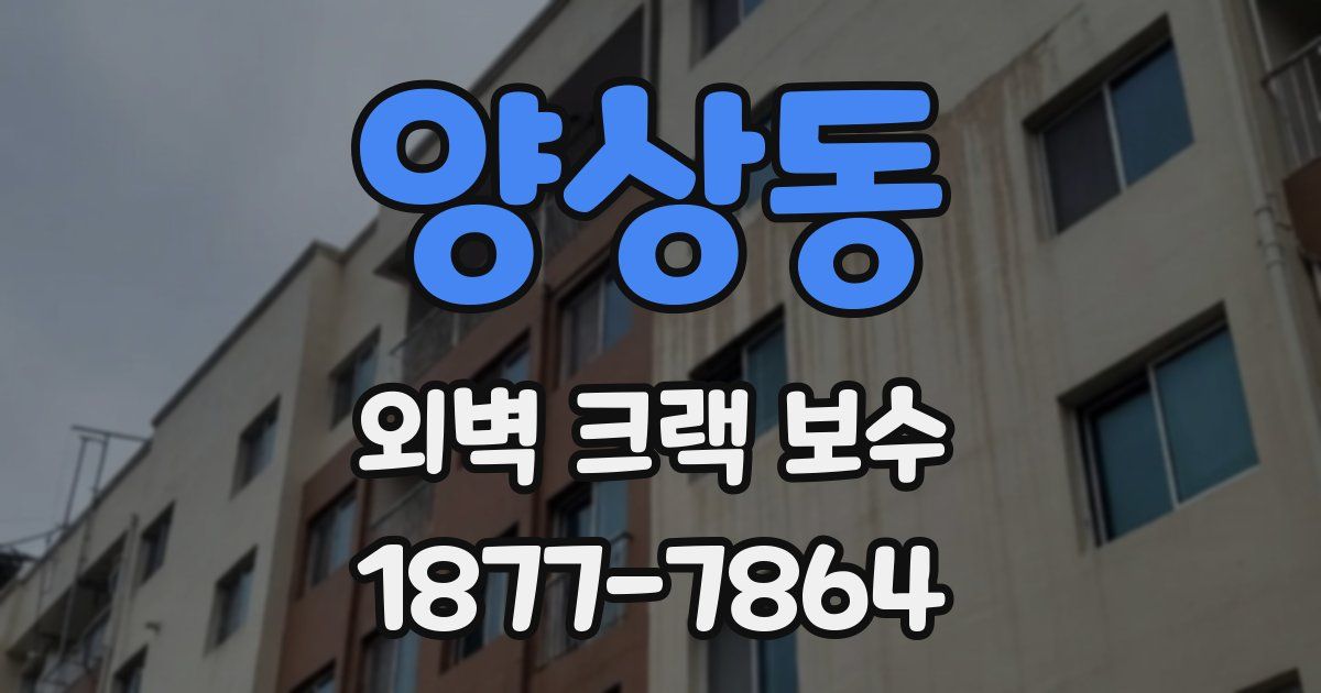 양상동 외벽 크랙 보수