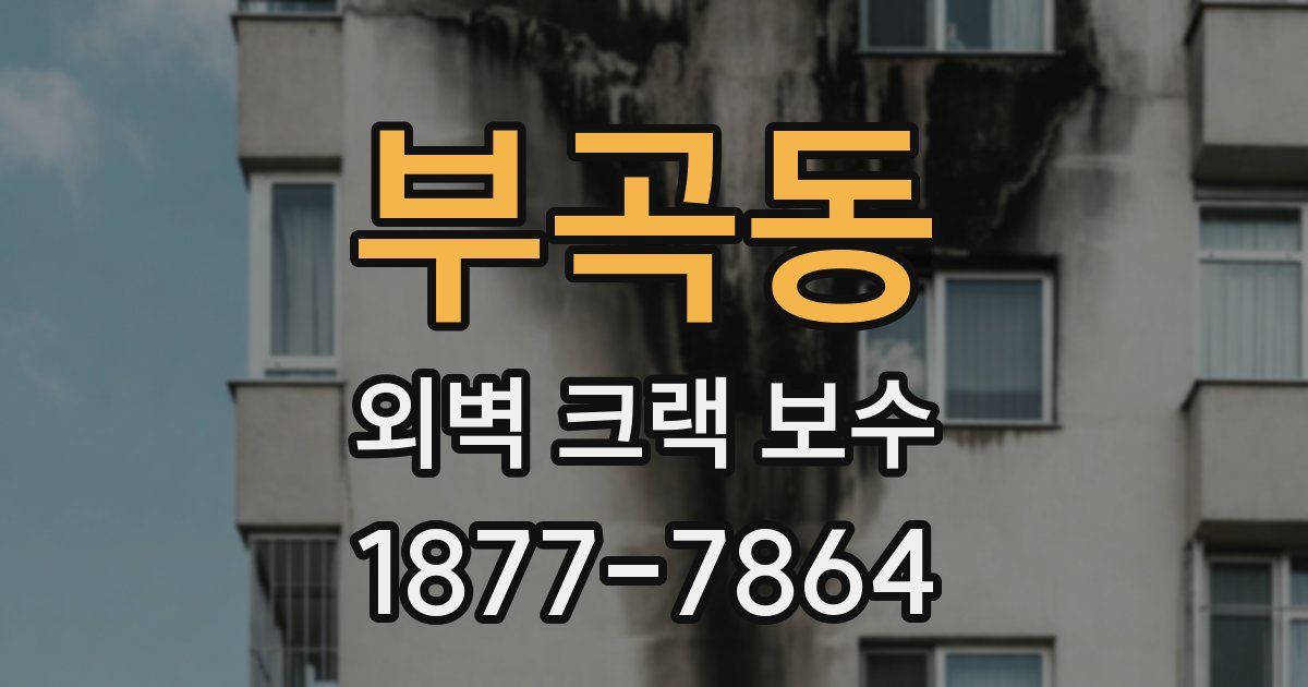 부곡동 외벽 크랙 보수