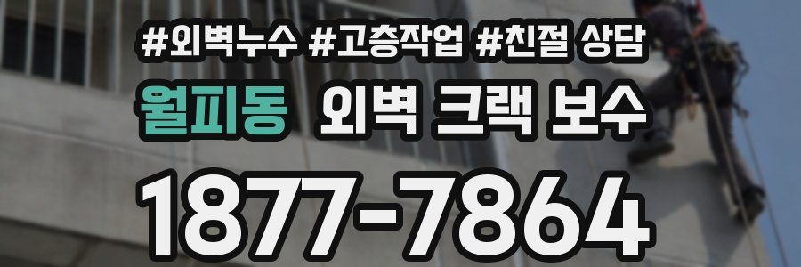 월피동 외벽 크랙 보수