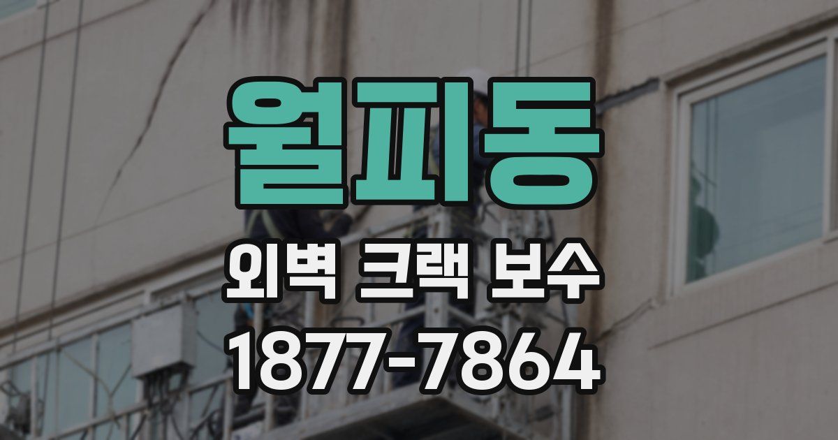 월피동 외벽 크랙 보수