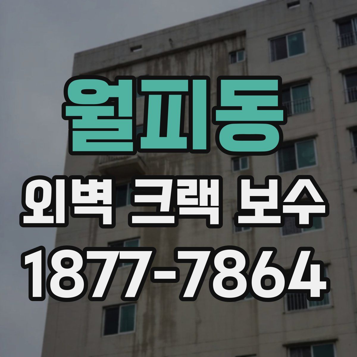 월피동 외벽 크랙 보수