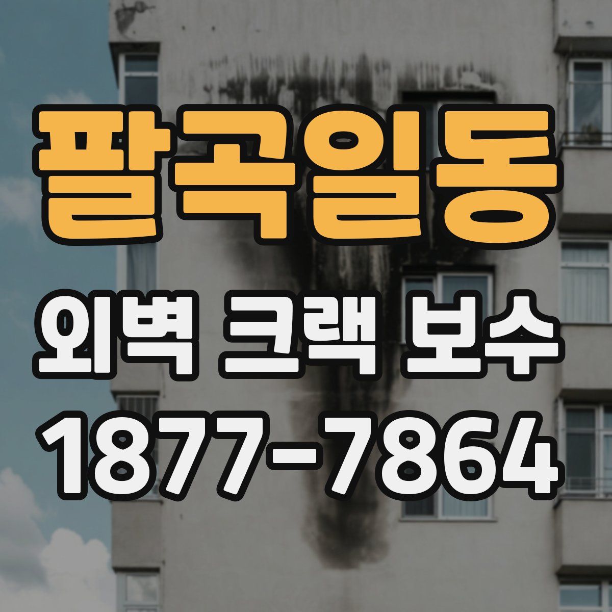 팔곡일동 외벽 크랙 보수