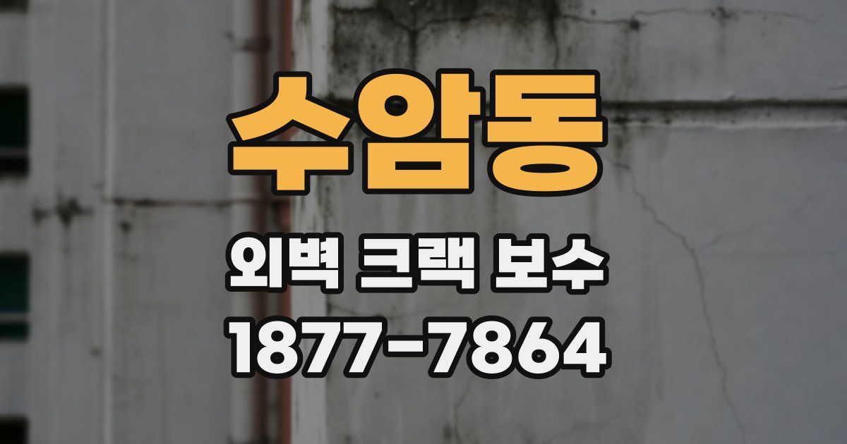 수암동 외벽 크랙 보수