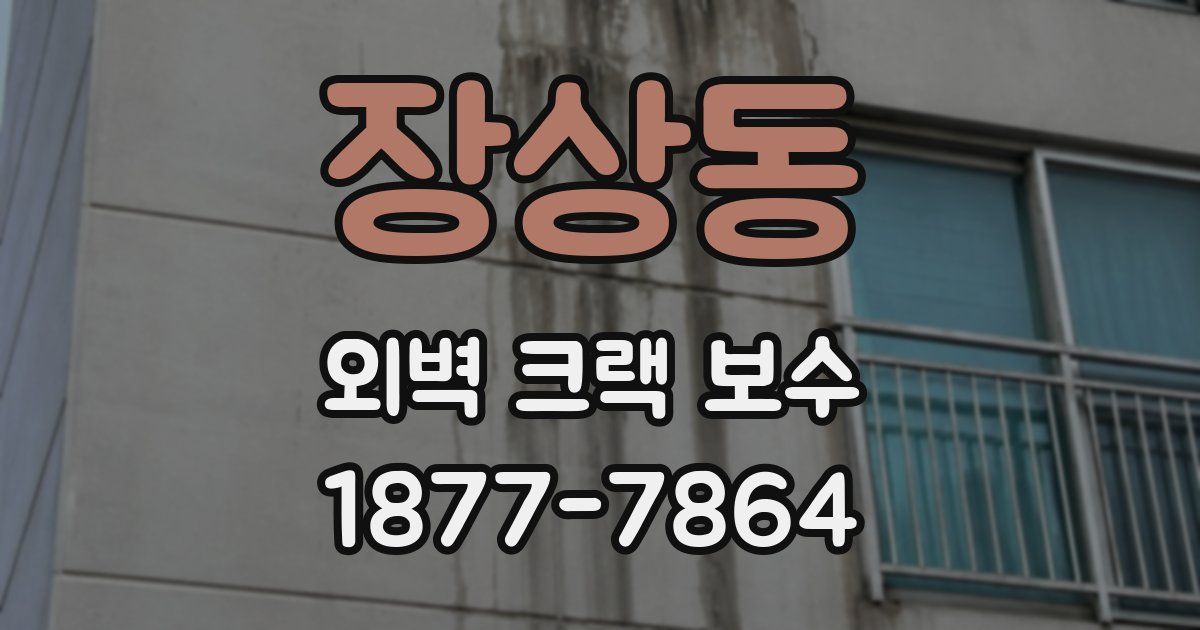 장상동 외벽 크랙 보수