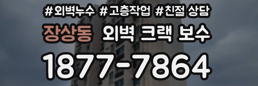 장상동 외벽 크랙 보수