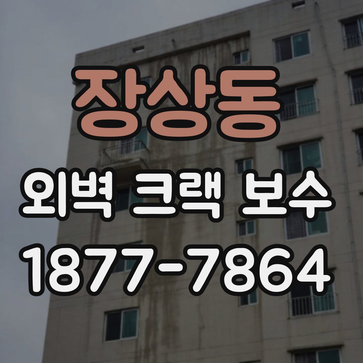 장상동 외벽 크랙 보수