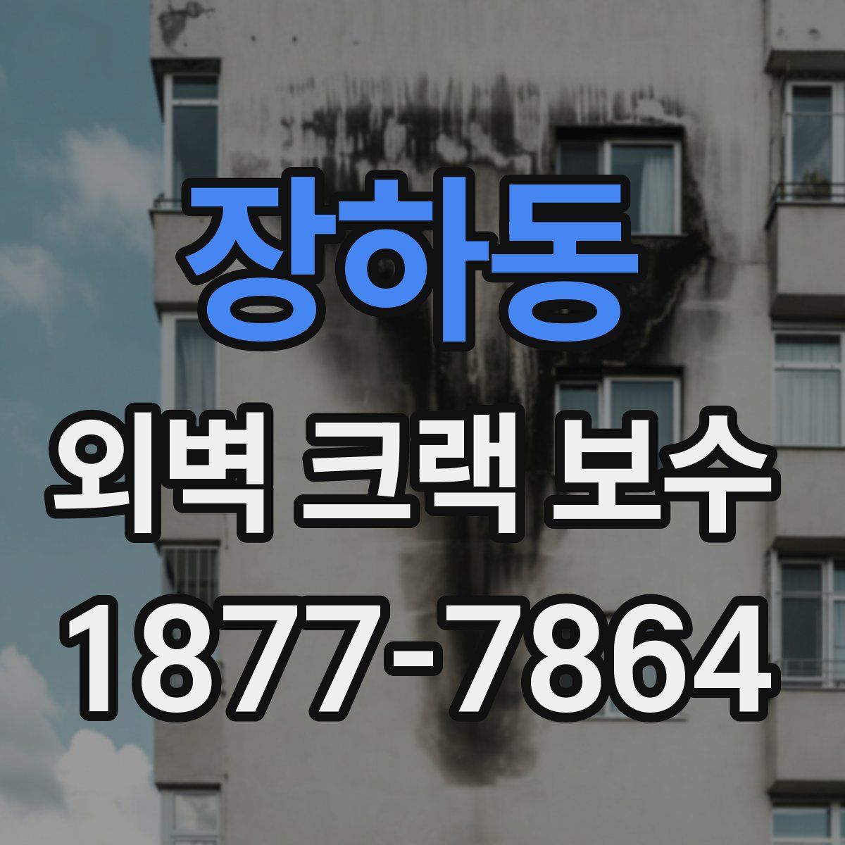 장하동 외벽 크랙 보수