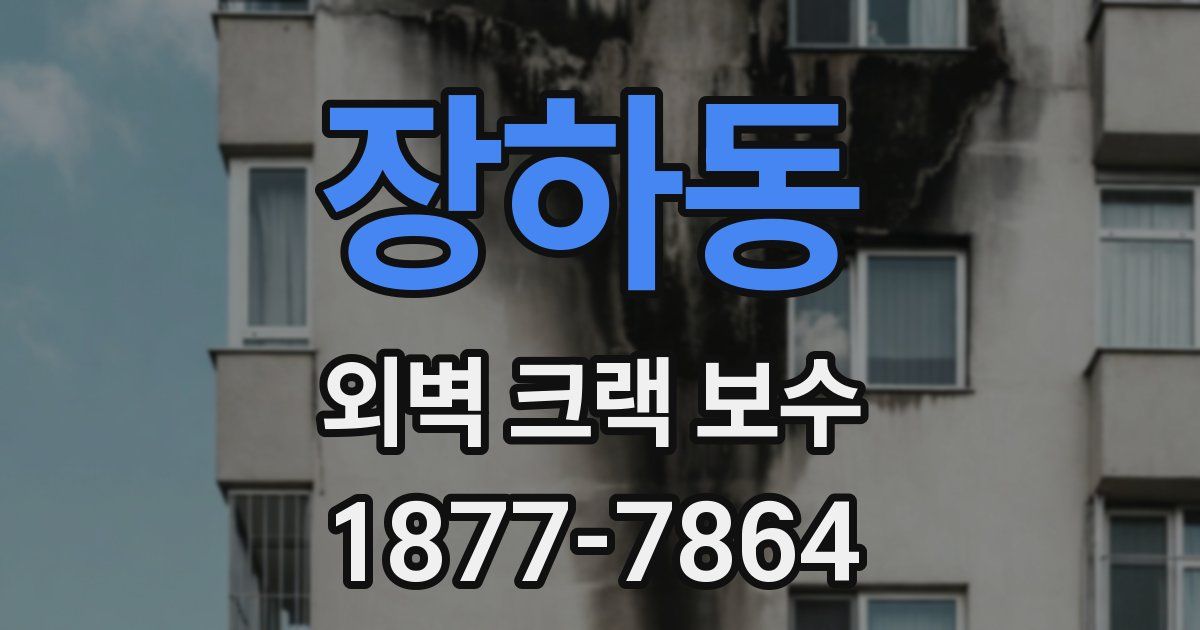 장하동 외벽 크랙 보수