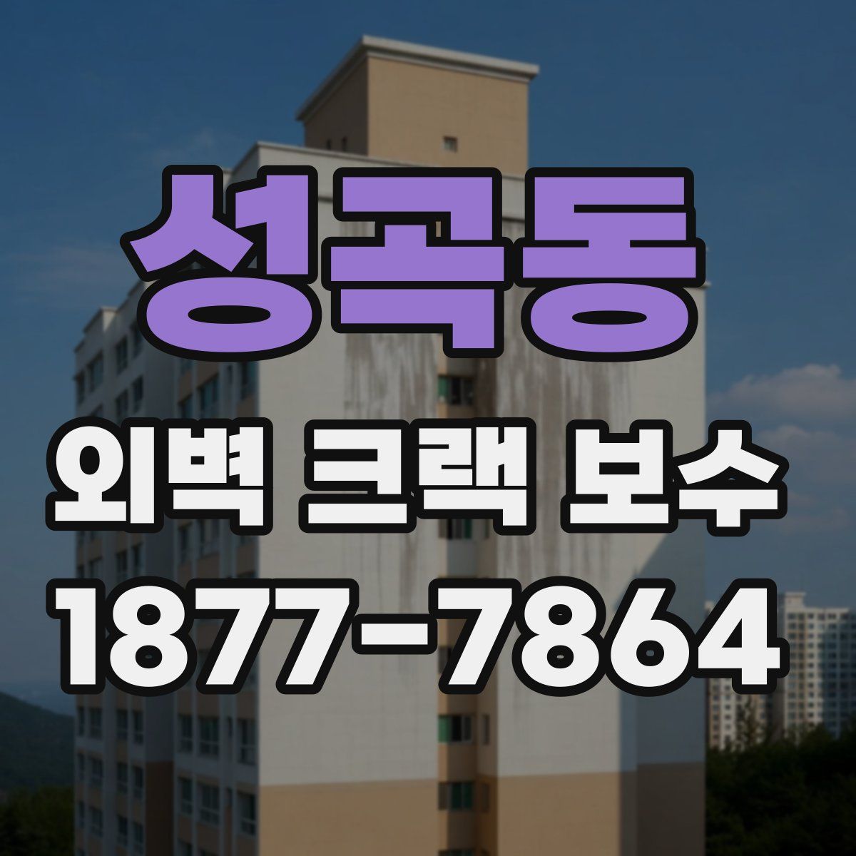 성곡동 외벽 크랙 보수