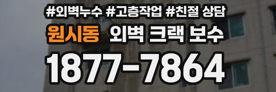 원시동 외벽 크랙 보수