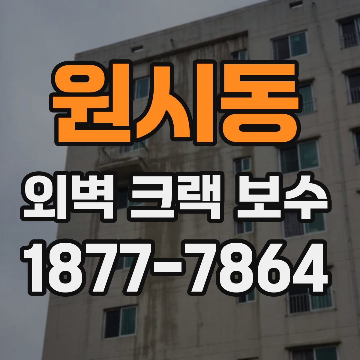 원시동 외벽 크랙 보수