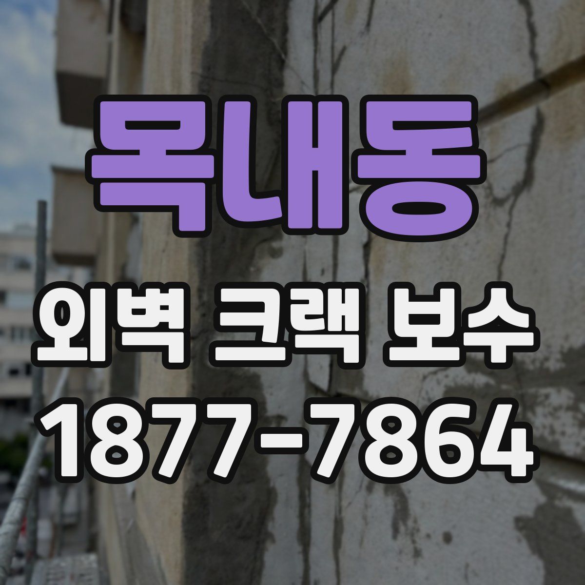 목내동 외벽 크랙 보수