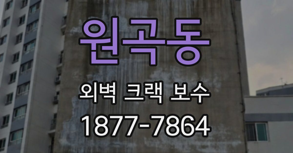 원곡동 외벽 크랙 보수