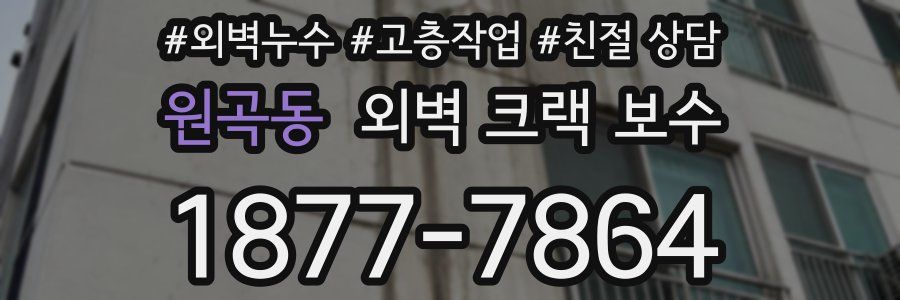 원곡동 외벽 크랙 보수