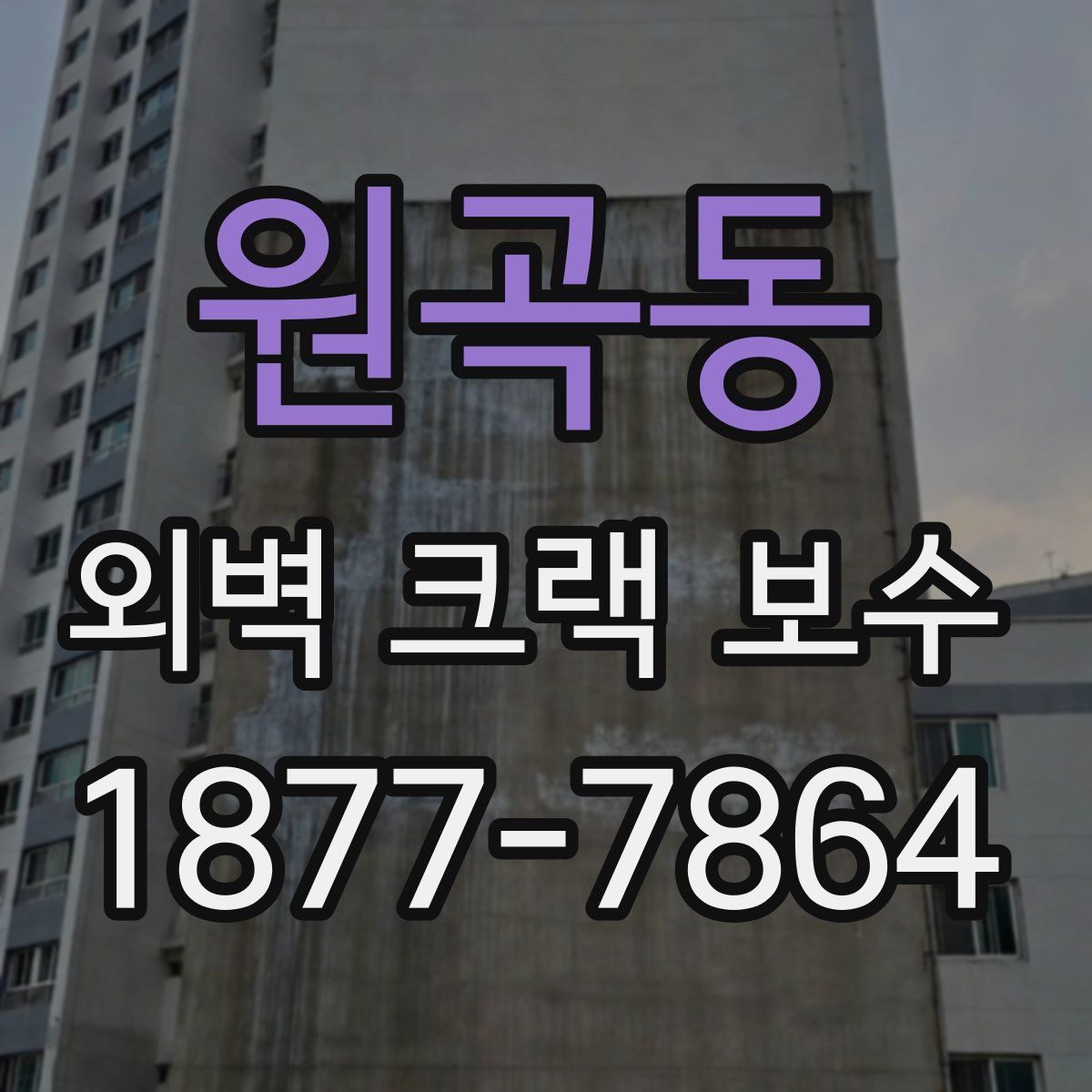원곡동 외벽 크랙 보수