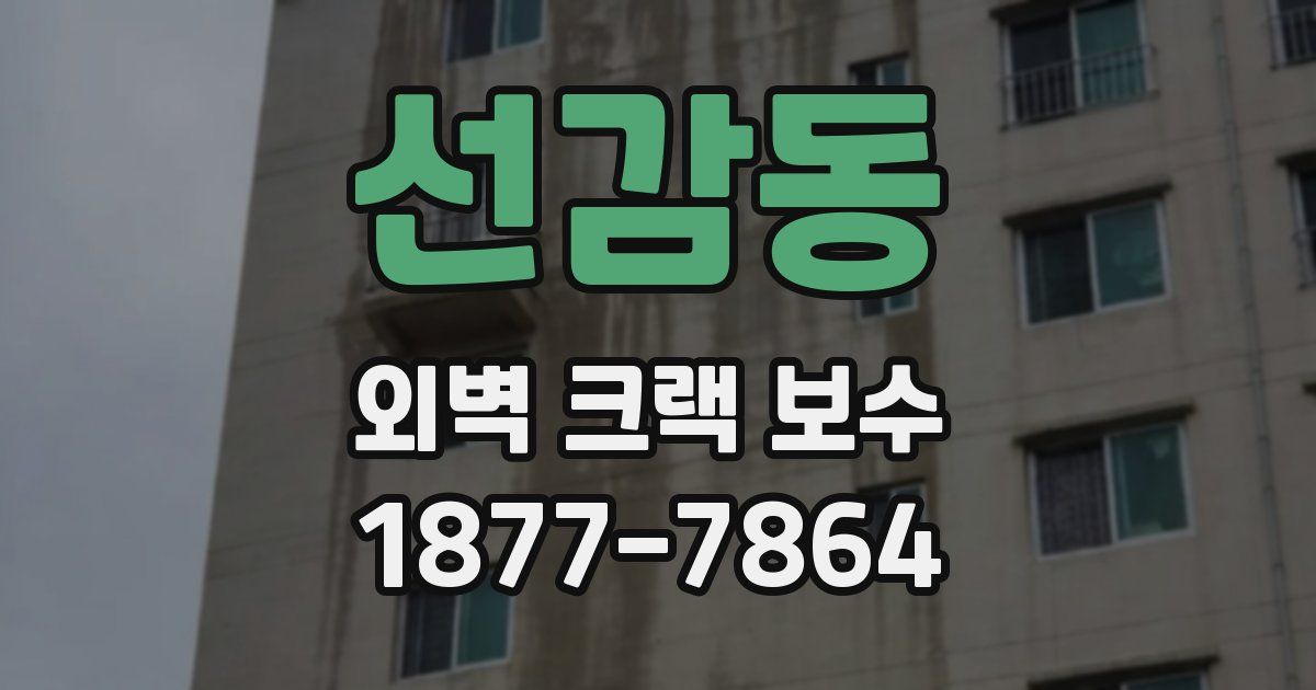 선감동 외벽 크랙 보수