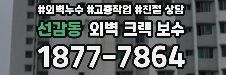 선감동 외벽 크랙 보수