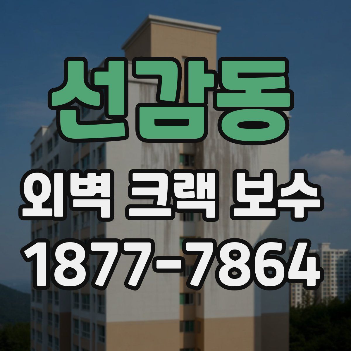 선감동 외벽 크랙 보수