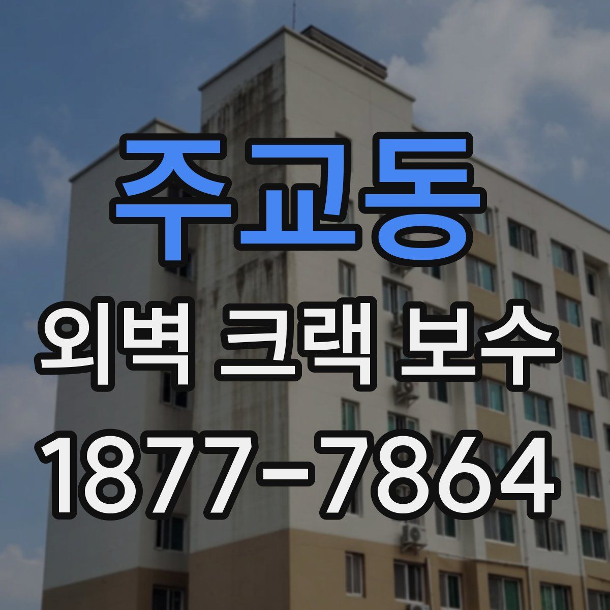 주교동 외벽 크랙 보수