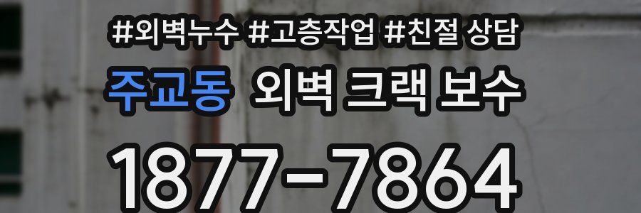 주교동 외벽 크랙 보수