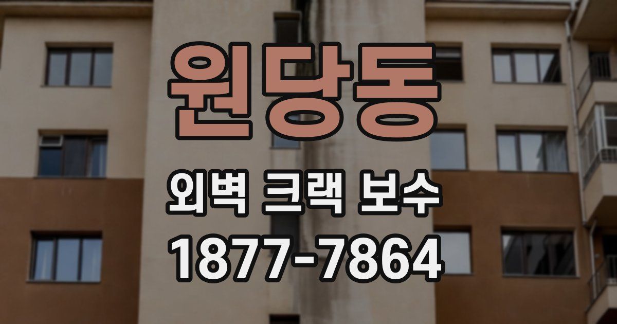 원당동 외벽 크랙 보수