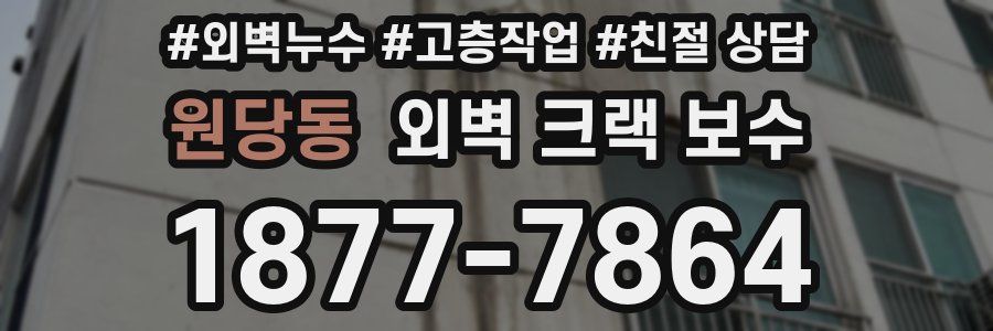 원당동 외벽 크랙 보수