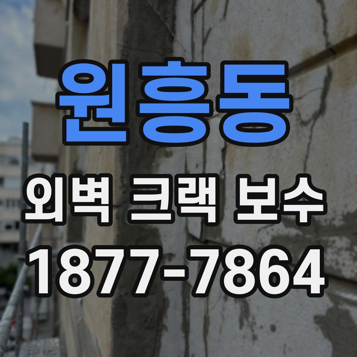원흥동 외벽 크랙 보수