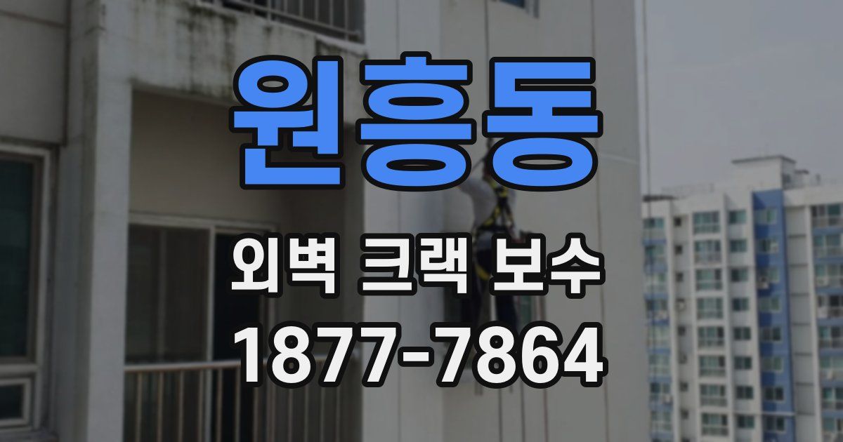 원흥동 외벽 크랙 보수