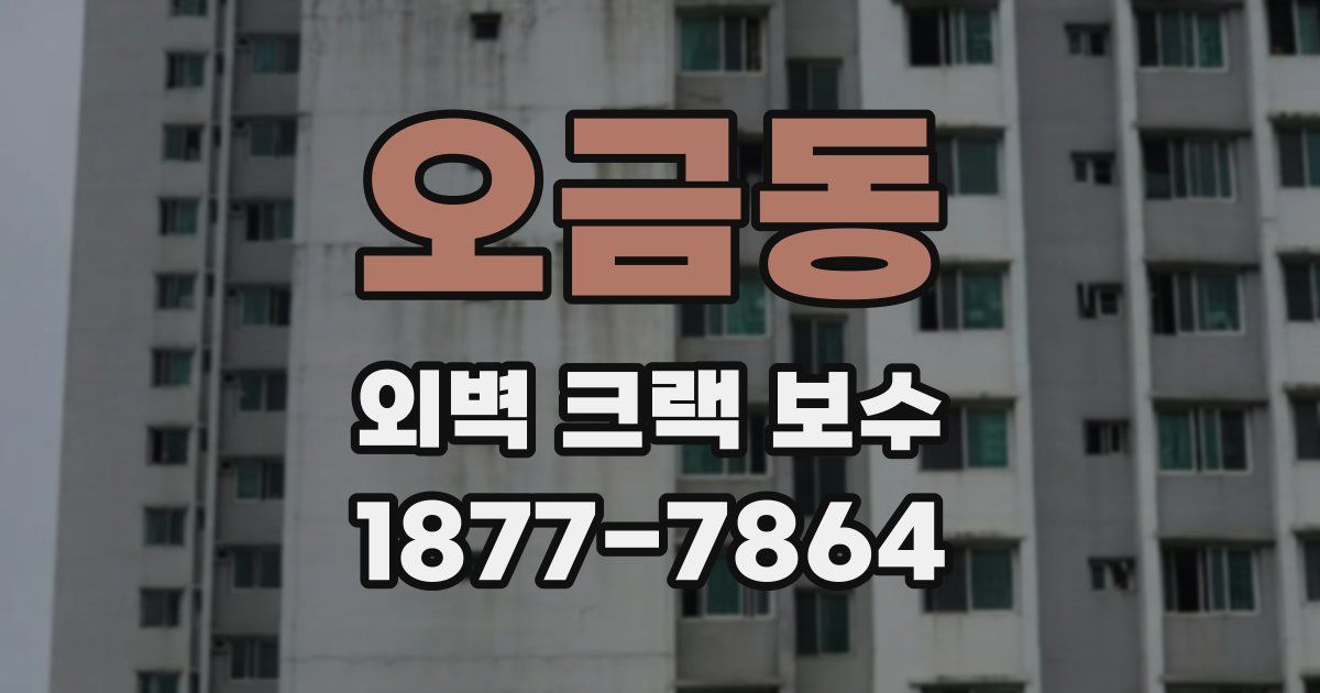 오금동 외벽 크랙 보수