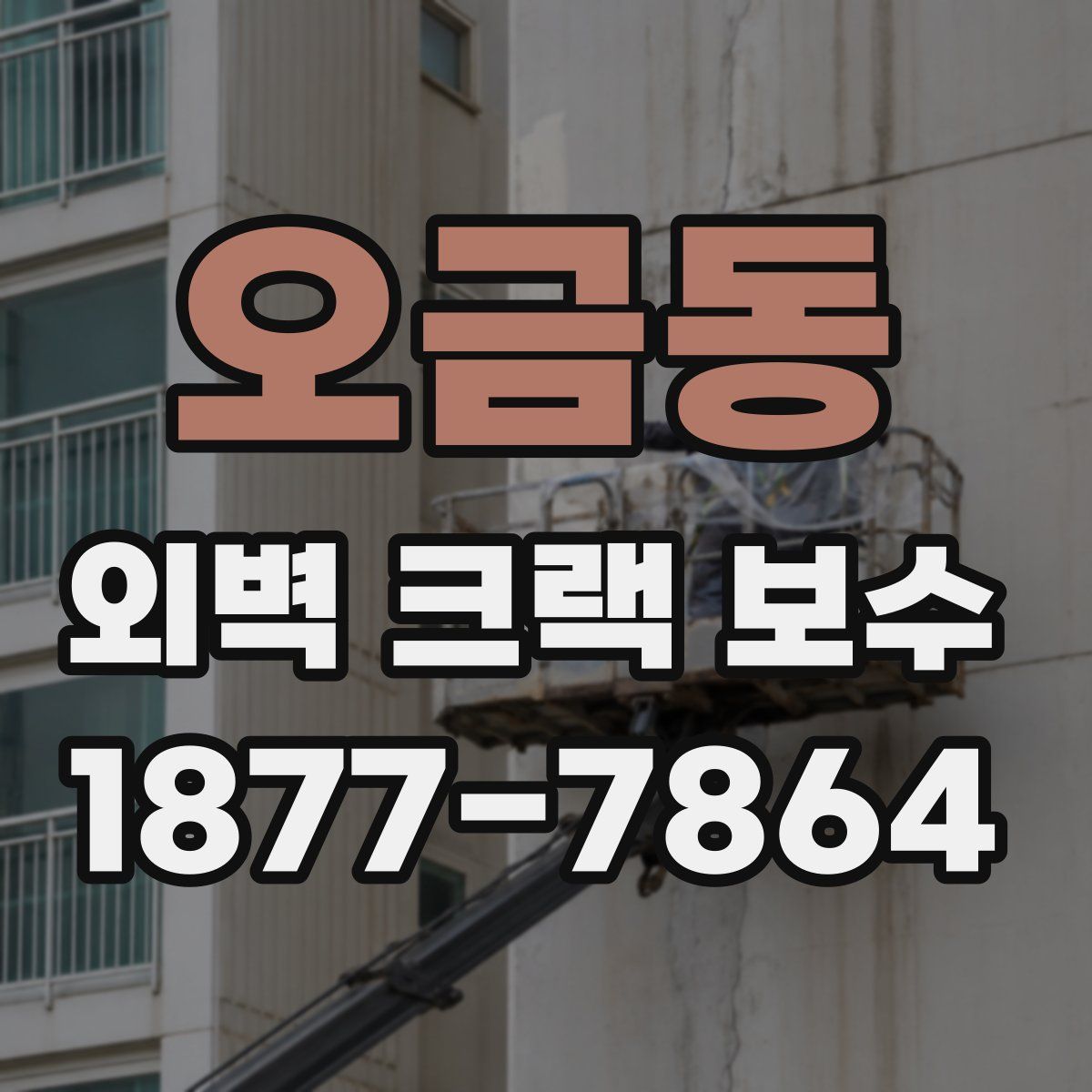 오금동 외벽 크랙 보수