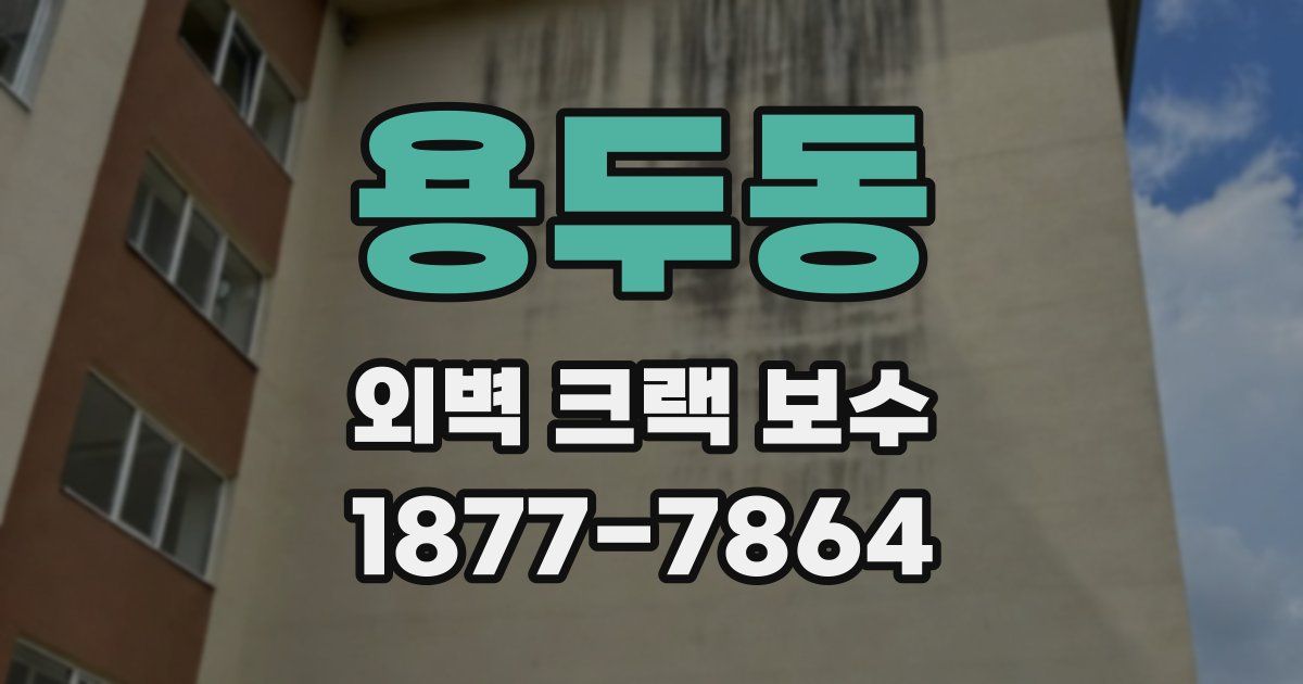 용두동 외벽 크랙 보수