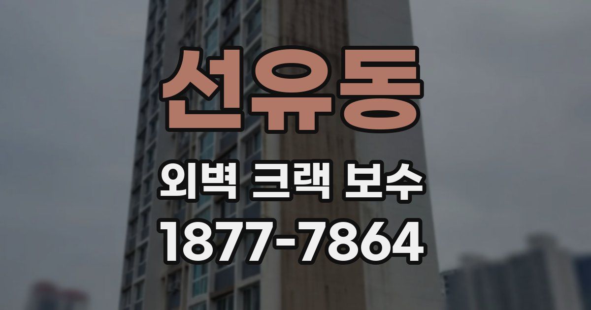 선유동 외벽 크랙 보수