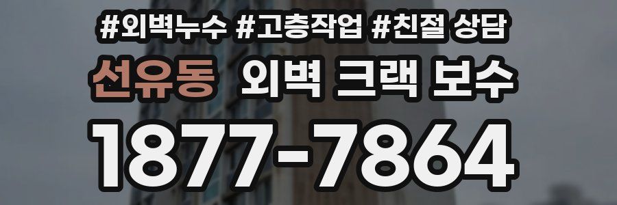 선유동 외벽 크랙 보수