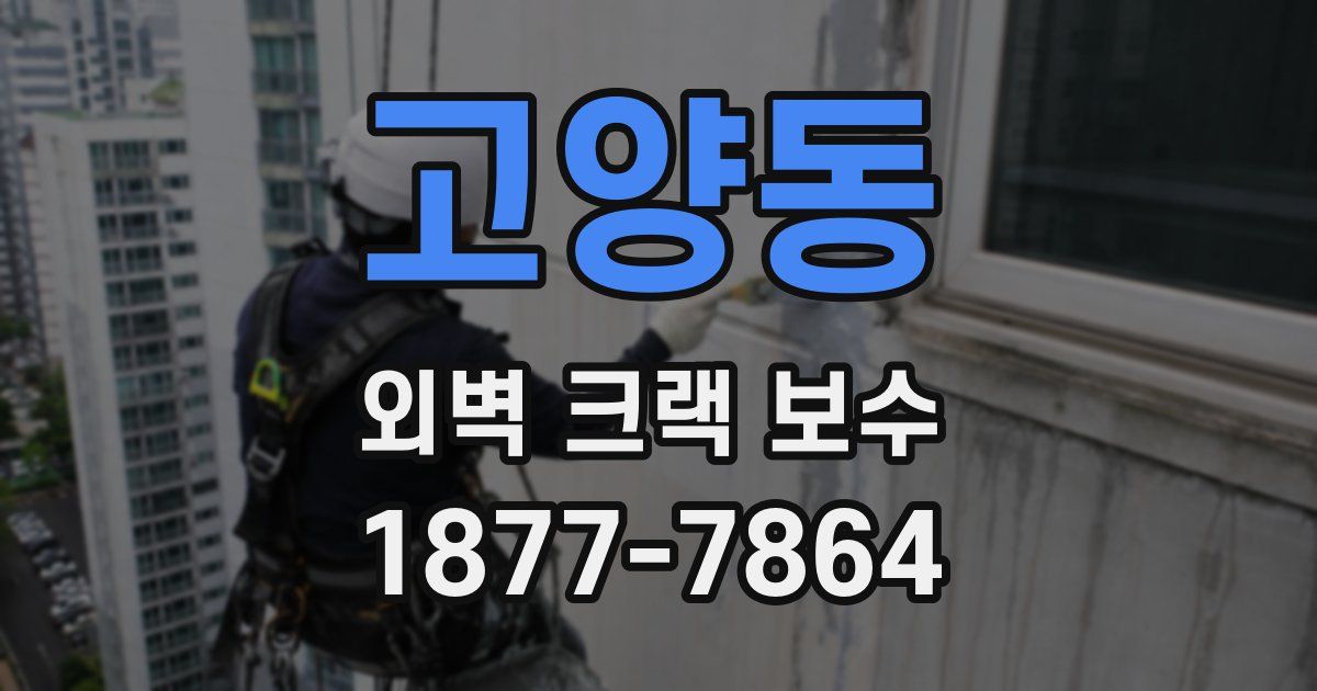 고양동 외벽 크랙 보수